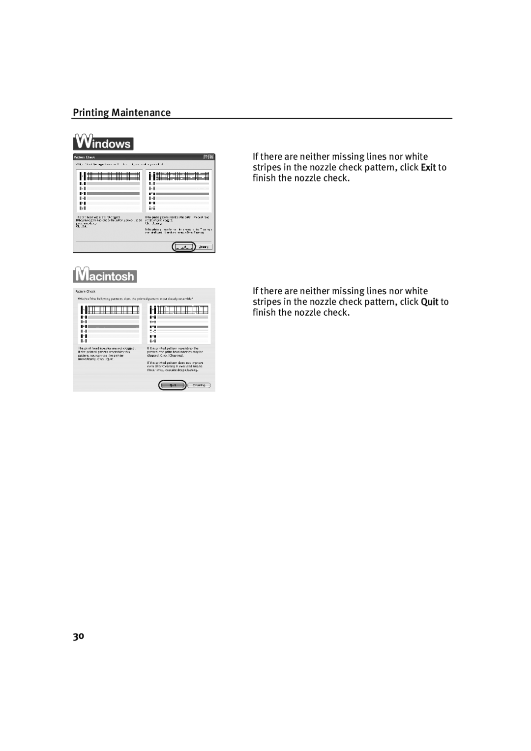 Canon IP1500 quick start Printing Maintenance 