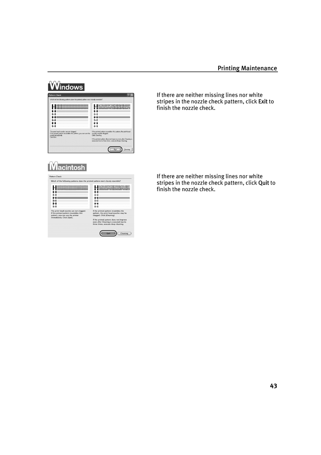 Canon IP2000 quick start Printing Maintenance 