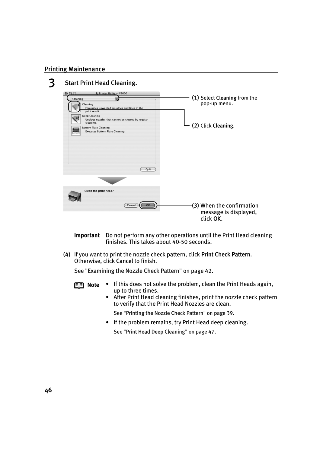 Canon IP2000 quick start Printing Maintenance Start Print Head Cleaning 