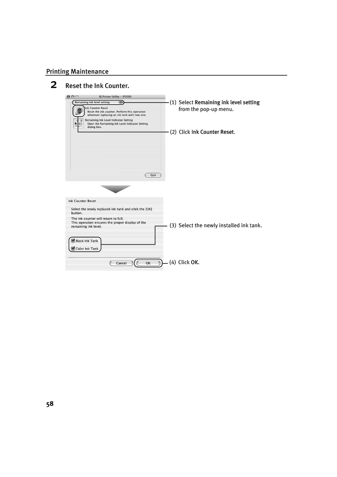 Canon IP2000 quick start Printing Maintenance Reset the Ink Counter 