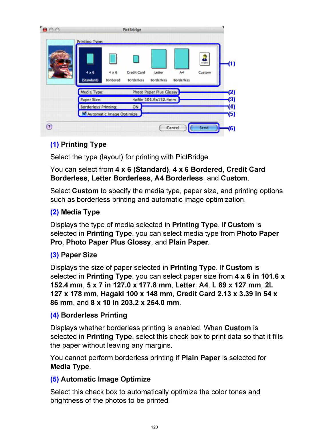 Canon iP3300 manual 120 