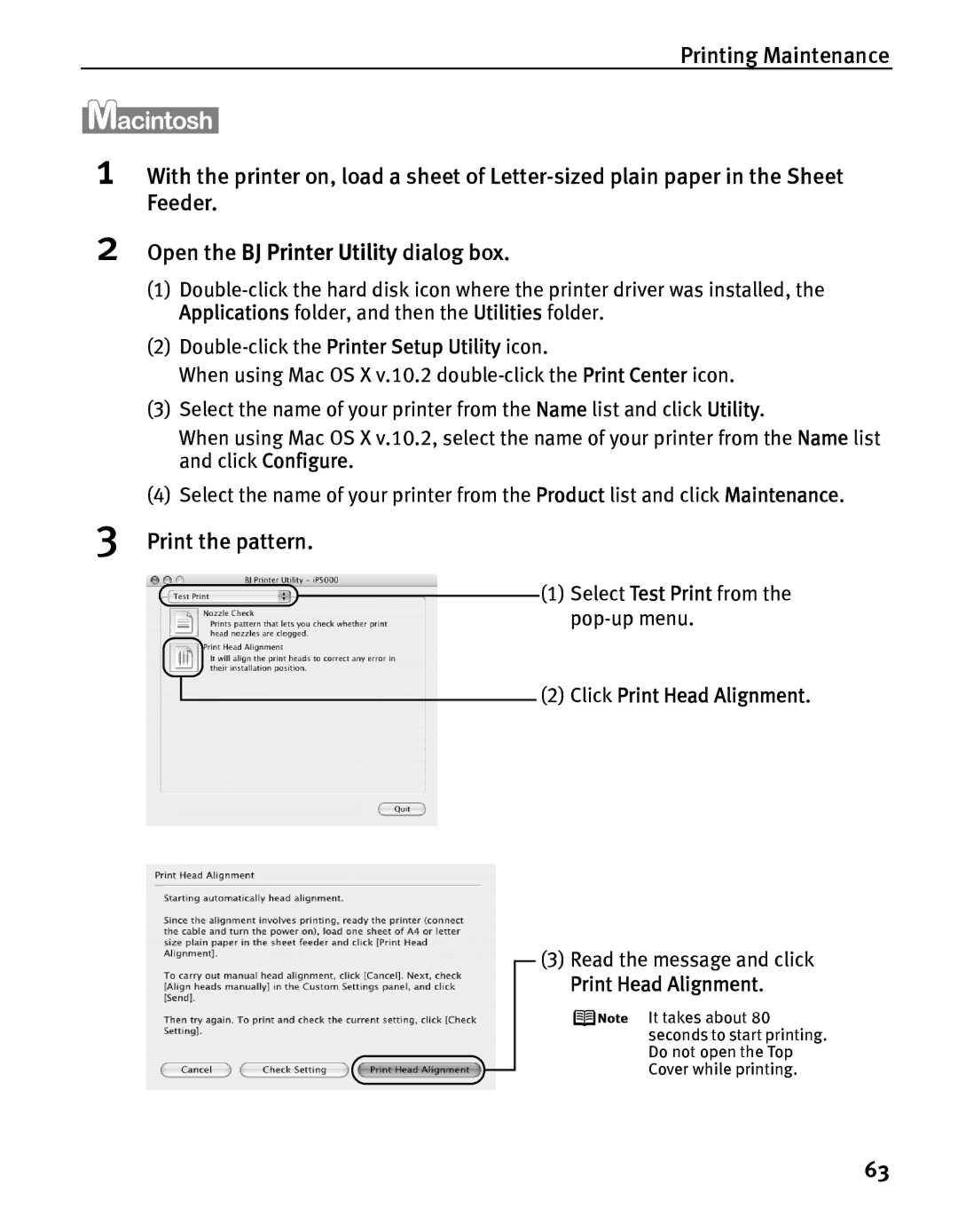 Canon iP5000 quick start Read the message and click Print Head Alignment 