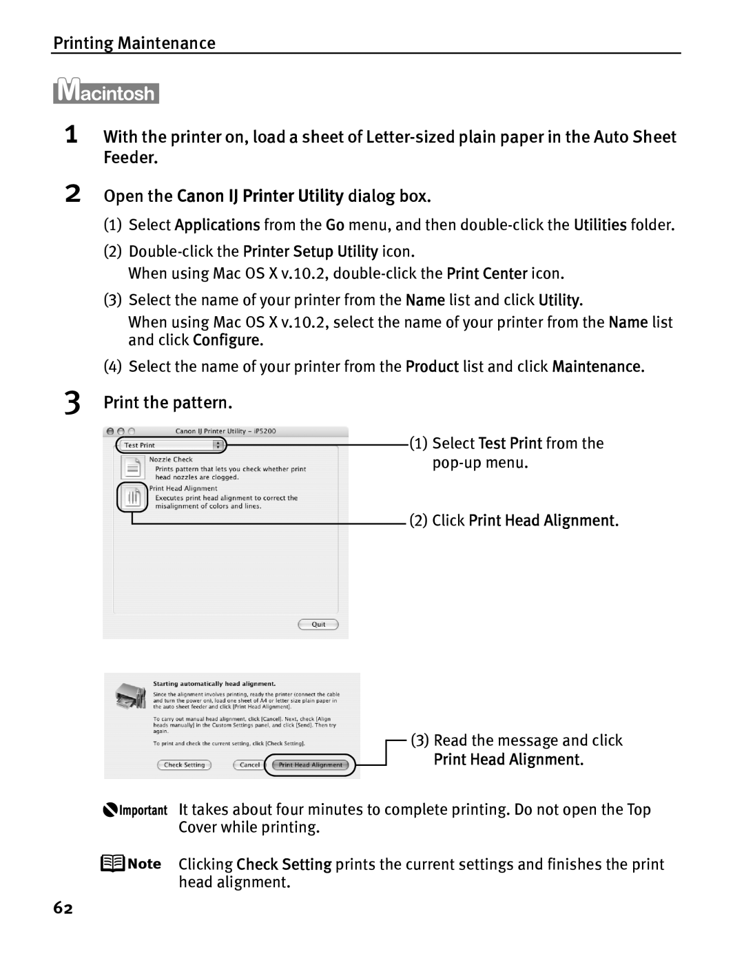 Canon IP5200 quick start Read the message and click Print Head Alignment 