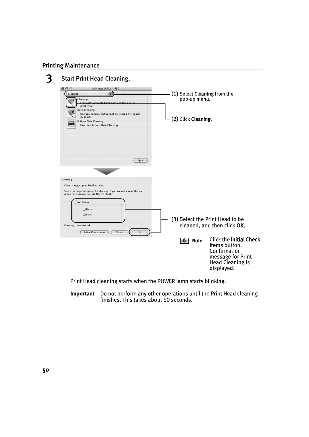 Canon IP90 quick start Select Cleaning from the pop-up menu 