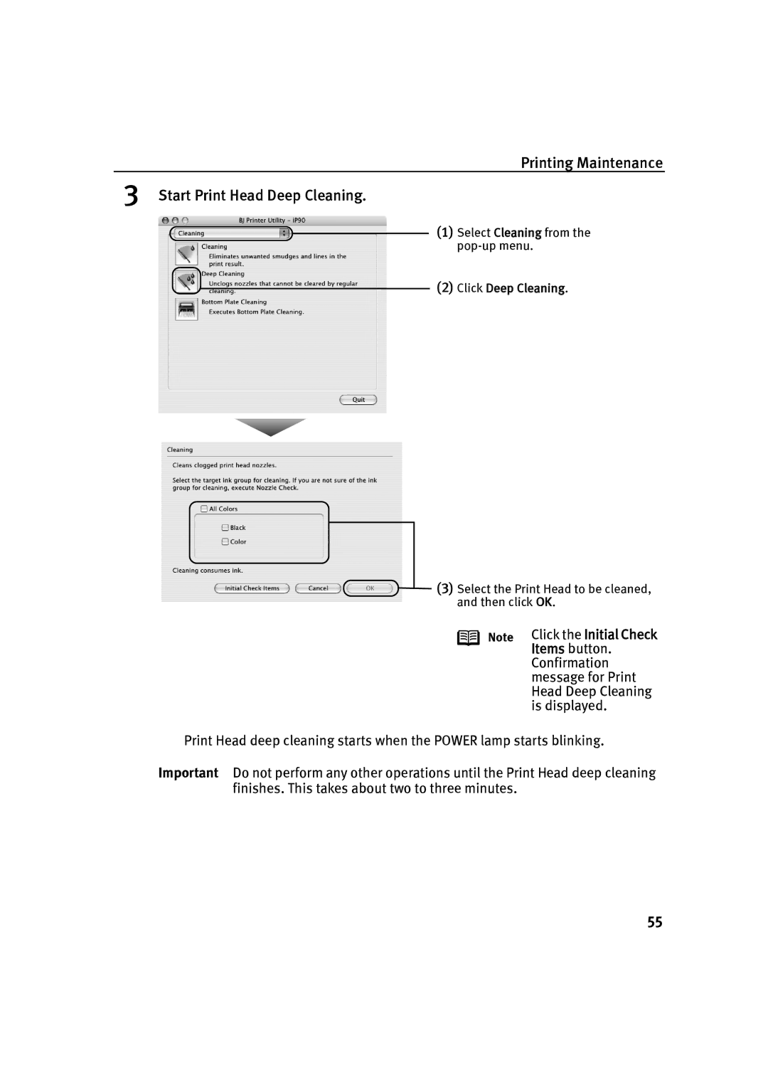 Canon IP90 quick start Select Cleaning from the pop-up menu 