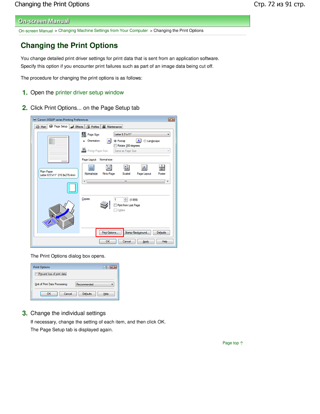 Canon JX510P Changing the Print Options, Click Print Options... on the Page Setup tab, Change the individual settings 