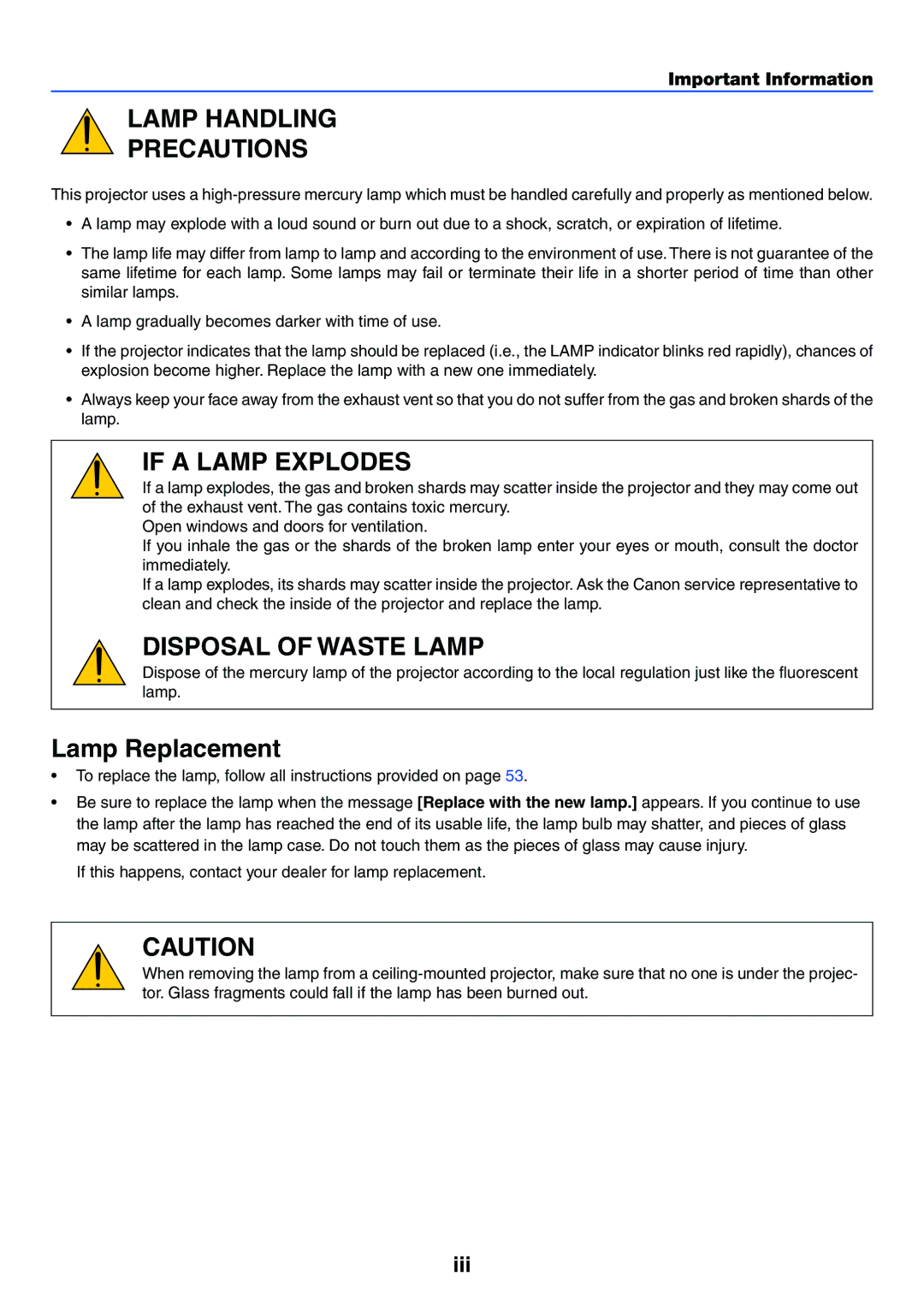 Canon LV-7250, LV-X6 manual Lamp Handling Precautions 