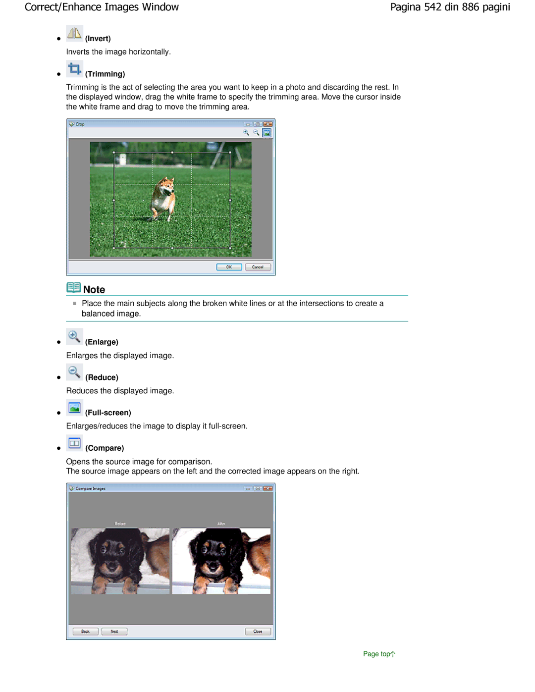 Canon MP550 manual Inverts the image horizontally, Enlarges/reduces the image to display it full-screen 