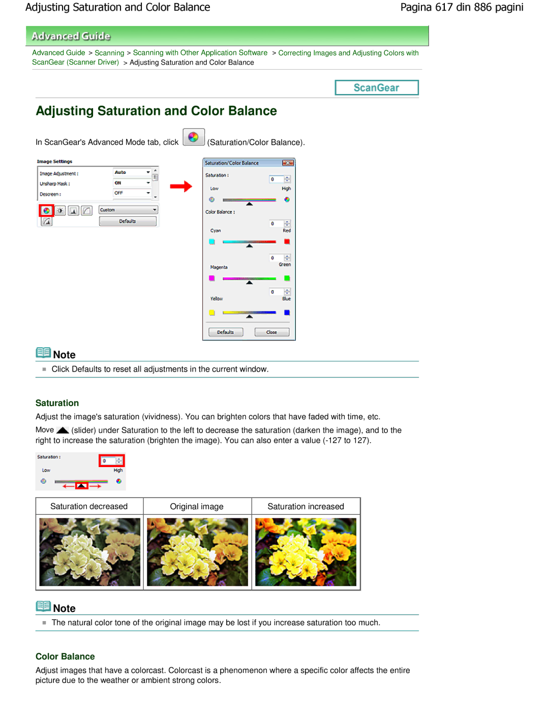 Canon MP550 manual Adjusting Saturation and Color Balance 