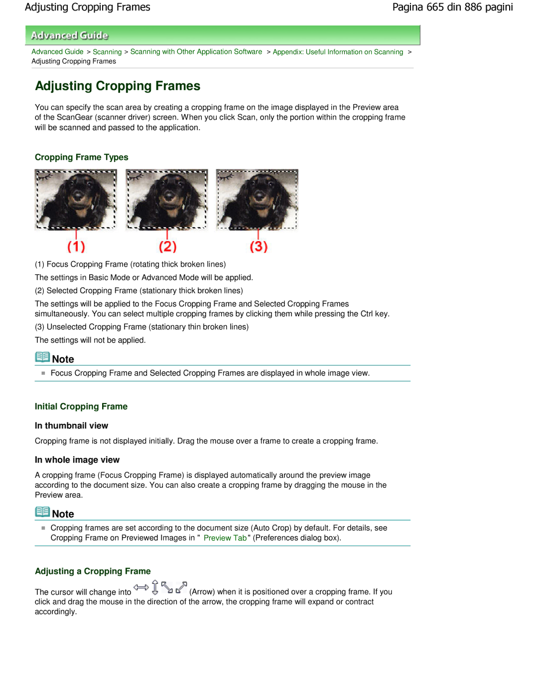 Canon MP550 manual Adjusting Cropping Frames, Cropping Frame Types, Initial Cropping Frame, Adjusting a Cropping Frame 