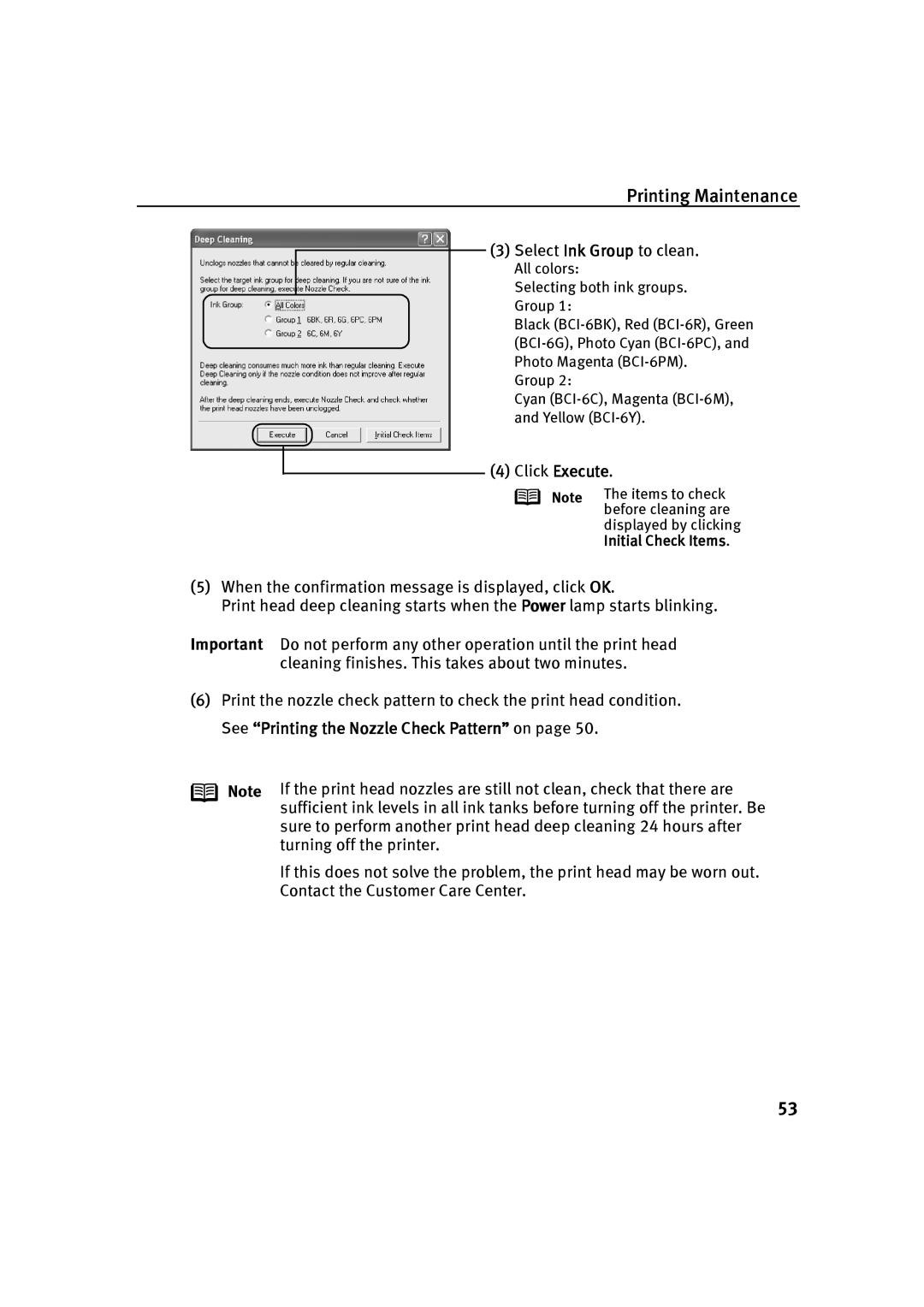 Canon P-I9900-QSG-1203 quick start Click Execute 