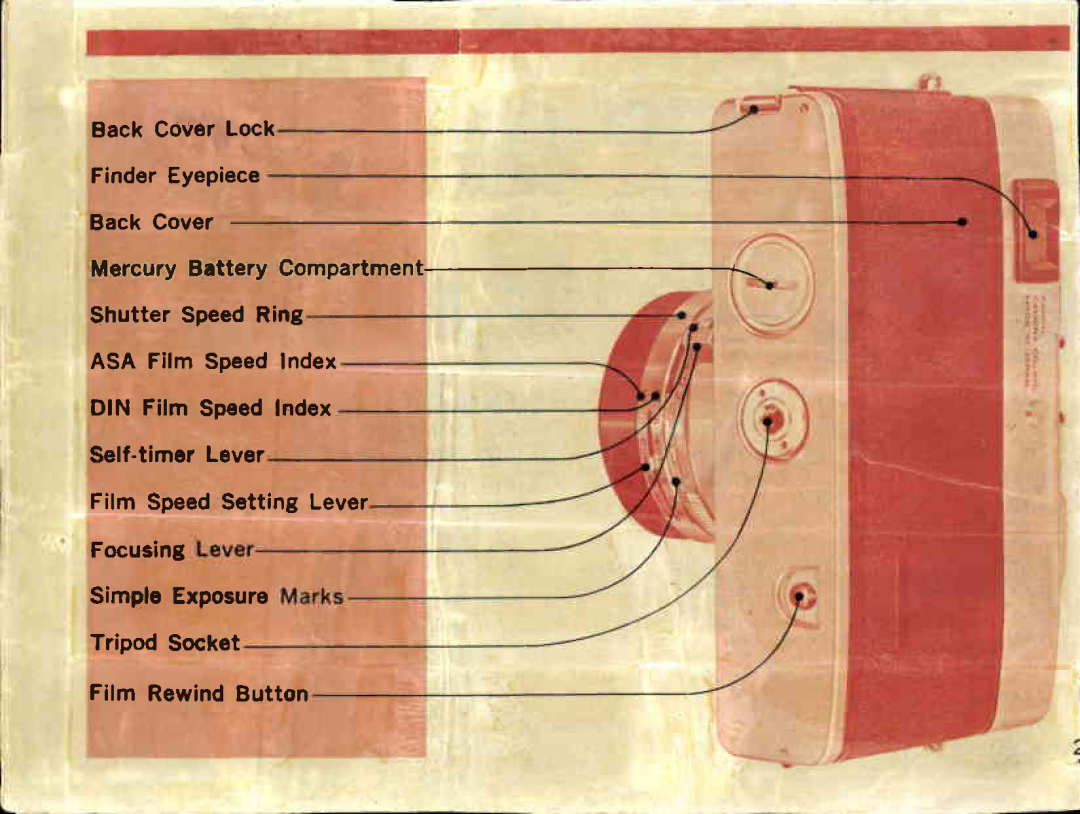 Canon QL19, QL17 manual 