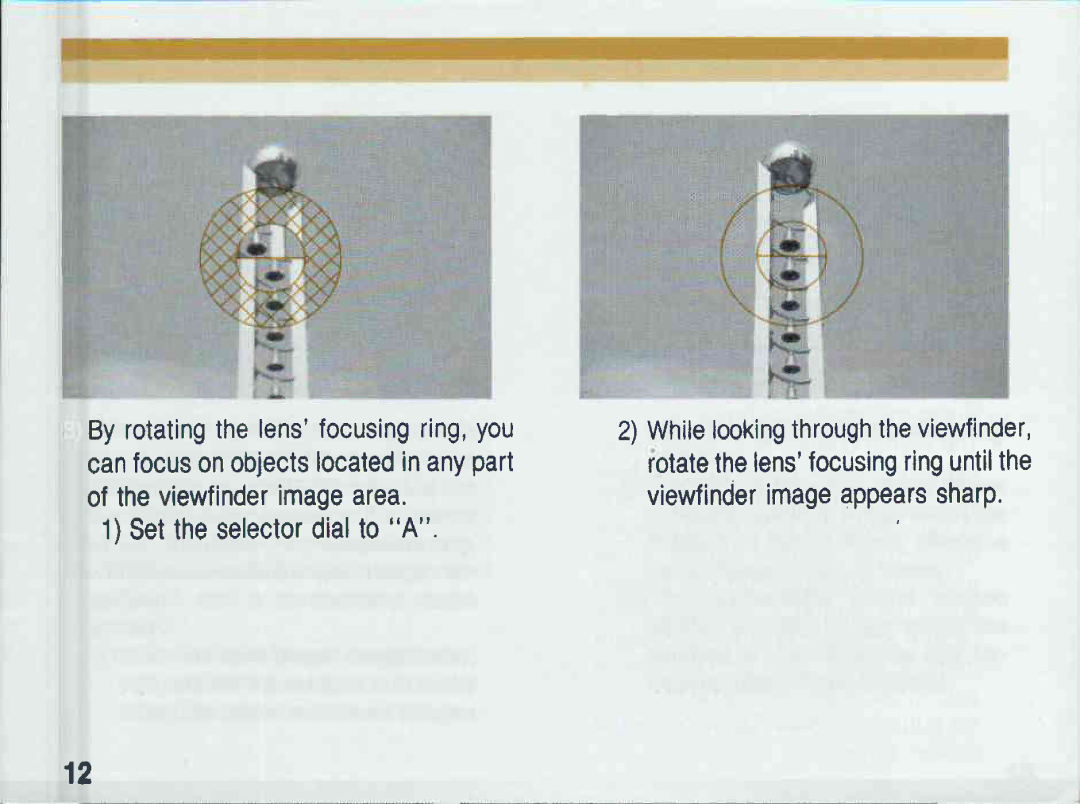 Canon T 60 manual 