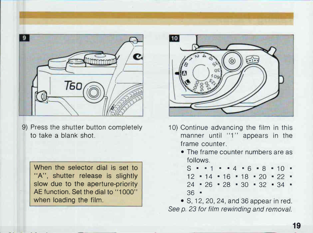 Canon T 60 manual 