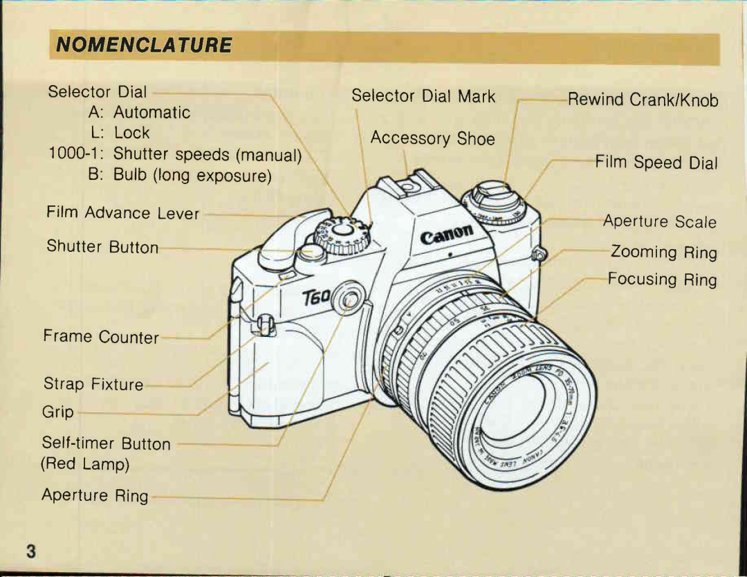 Canon T 60 manual 