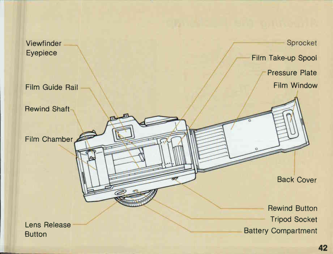 Canon T 60 manual 