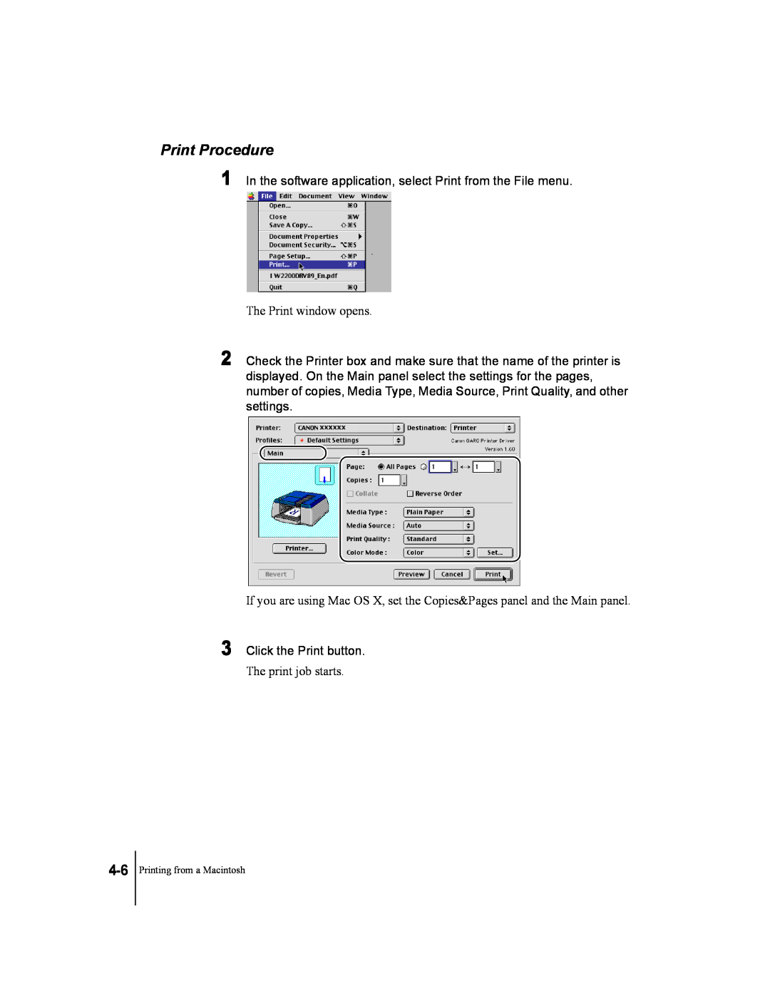 Canon W2200 manual Print Procedure, In the software application, select Print from the File menu 