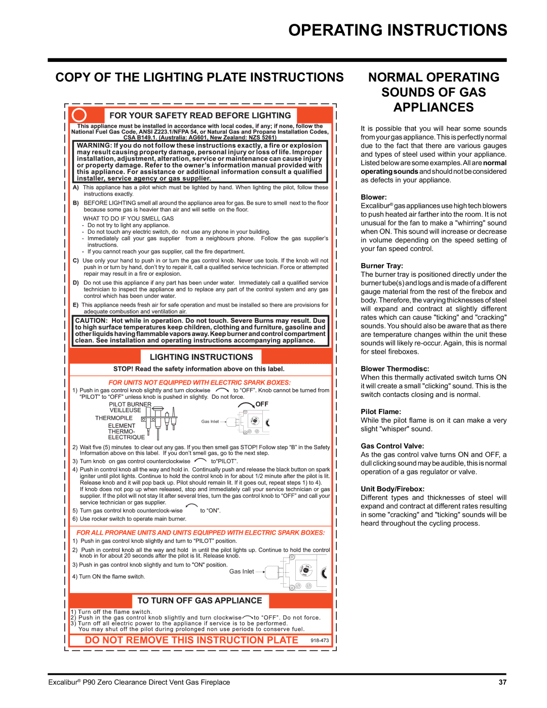 CarAlarms.com P90-NG1 manual Copy of the Lighting Plate Instructions, Normal Operating Sounds of GAS Appliances 