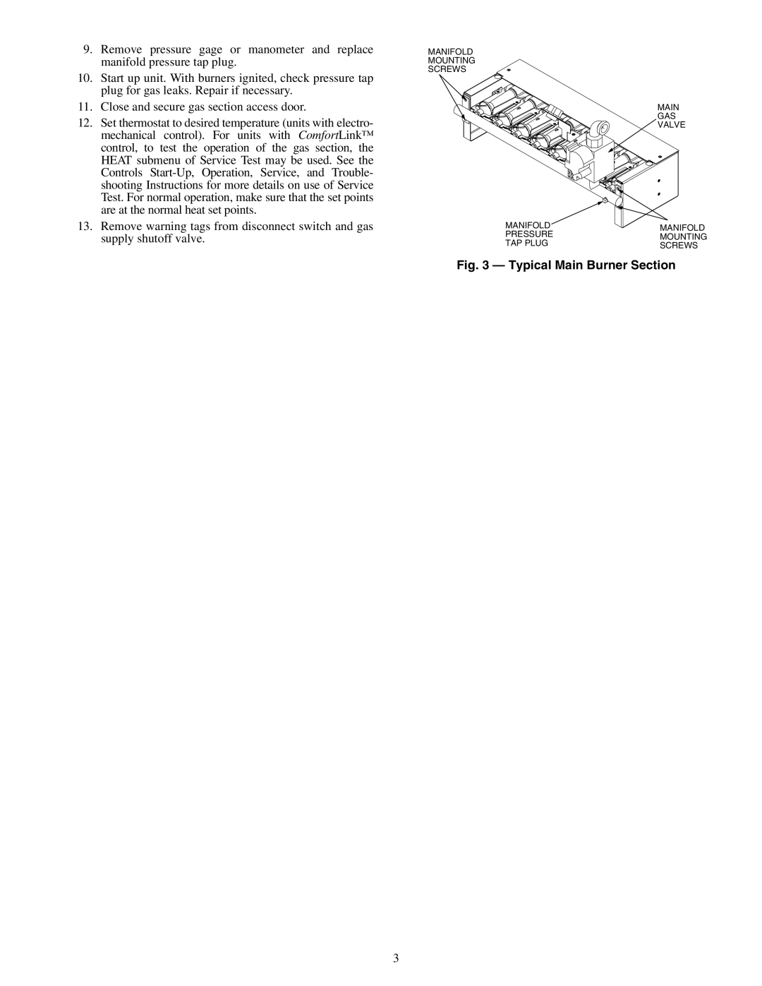 Carrier 48PG16 installation instructions Typical Main Burner Section 