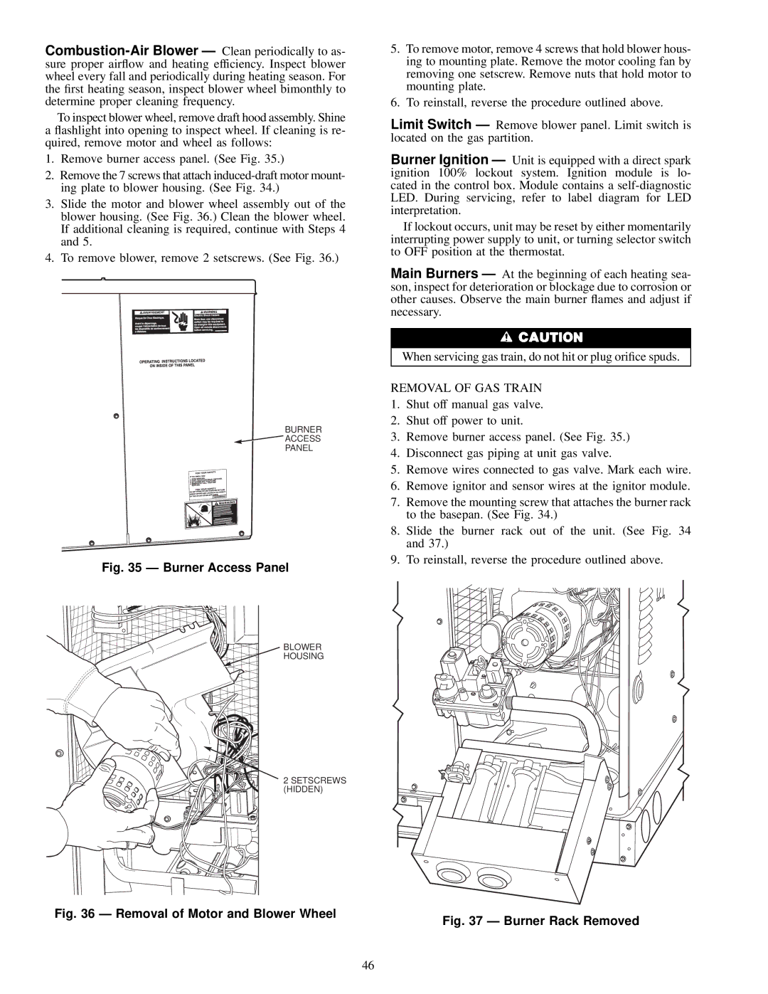 Carrier 48SS018-060, 48SX024-060 user manual Burner Access Panel 