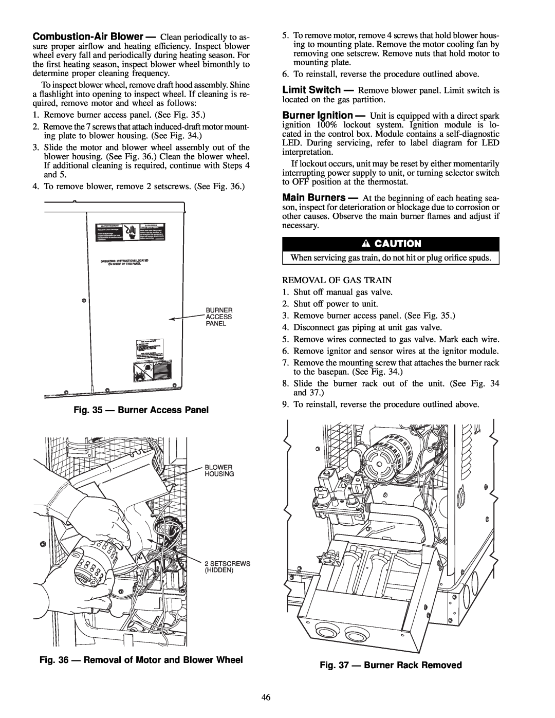 Carrier 48SS018-060, 48SX024-060 Ð Burner Access Panel, Ð Removal of Motor and Blower Wheel, Ð Burner Rack Removed 