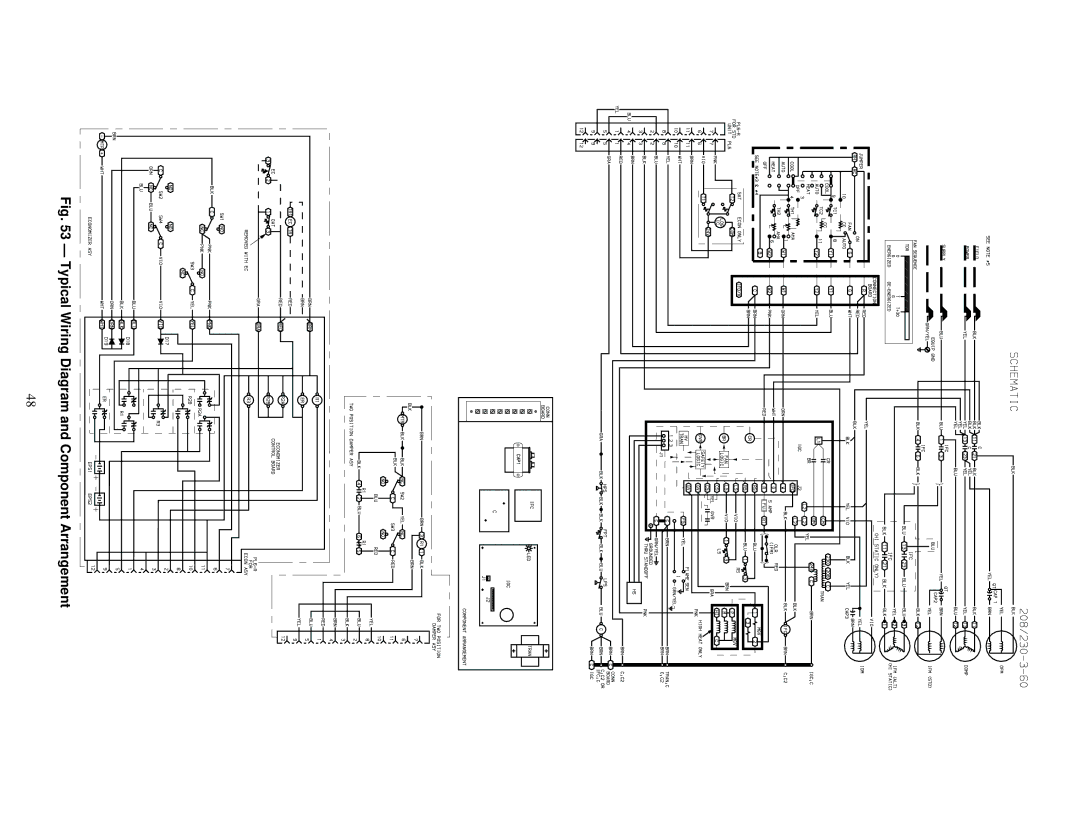 Carrier 48TF004-007 specifications Typical Wiring Diagram and Component Arrangement 