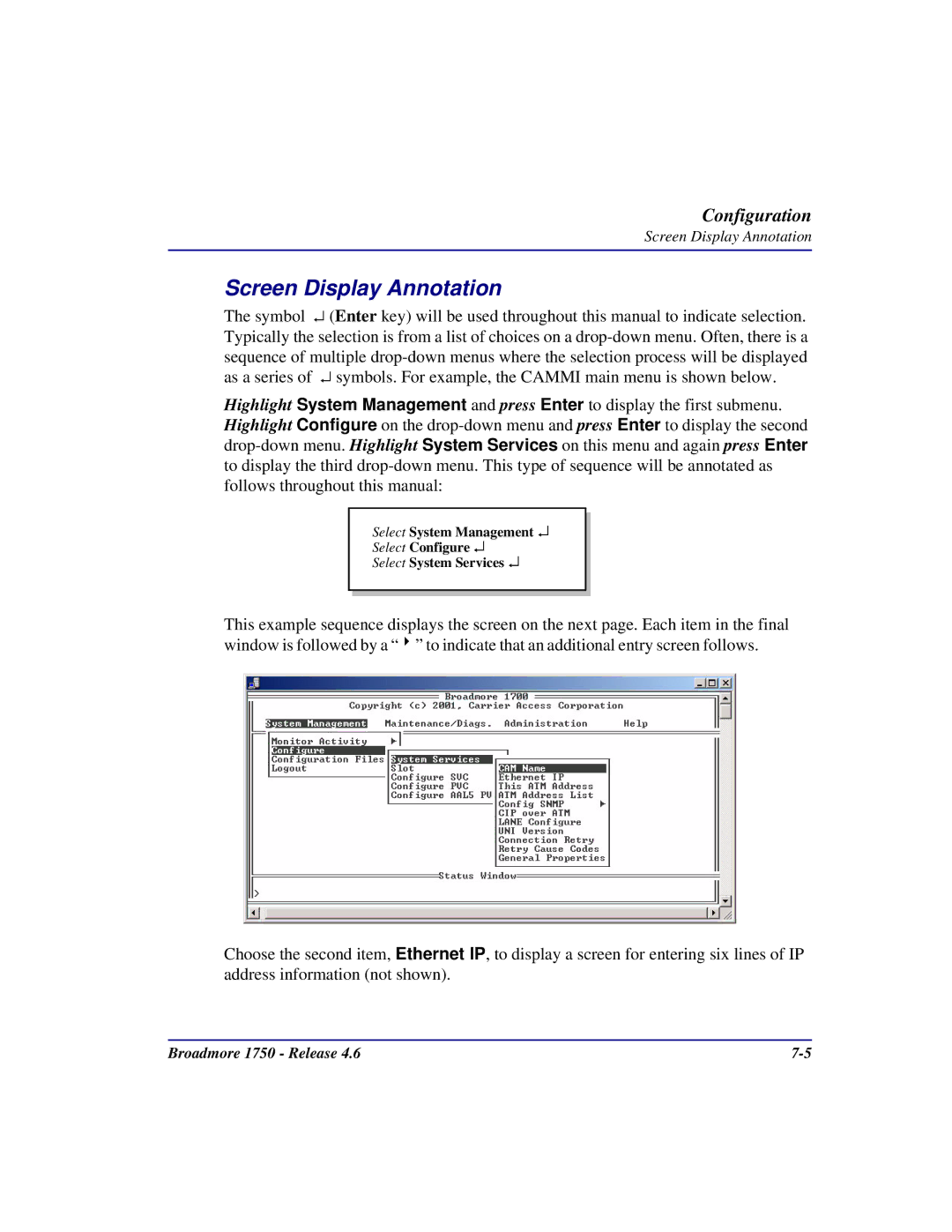 Carrier Access 1750 user manual Screen Display Annotation 