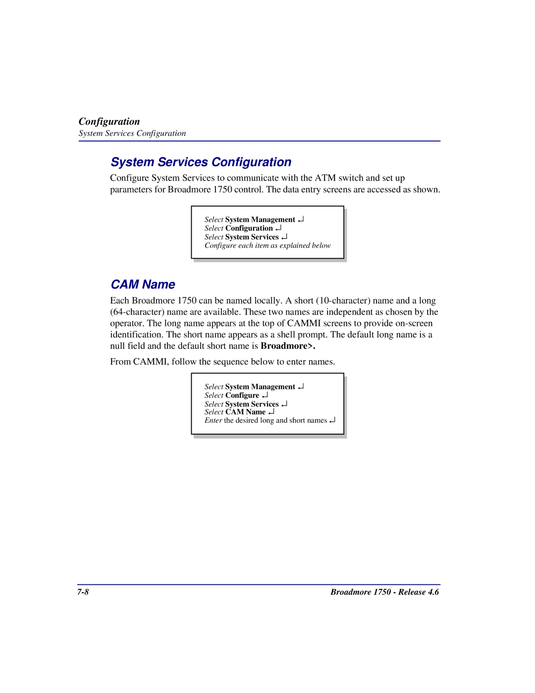 Carrier Access 1750 user manual System Services Configuration, CAM Name 