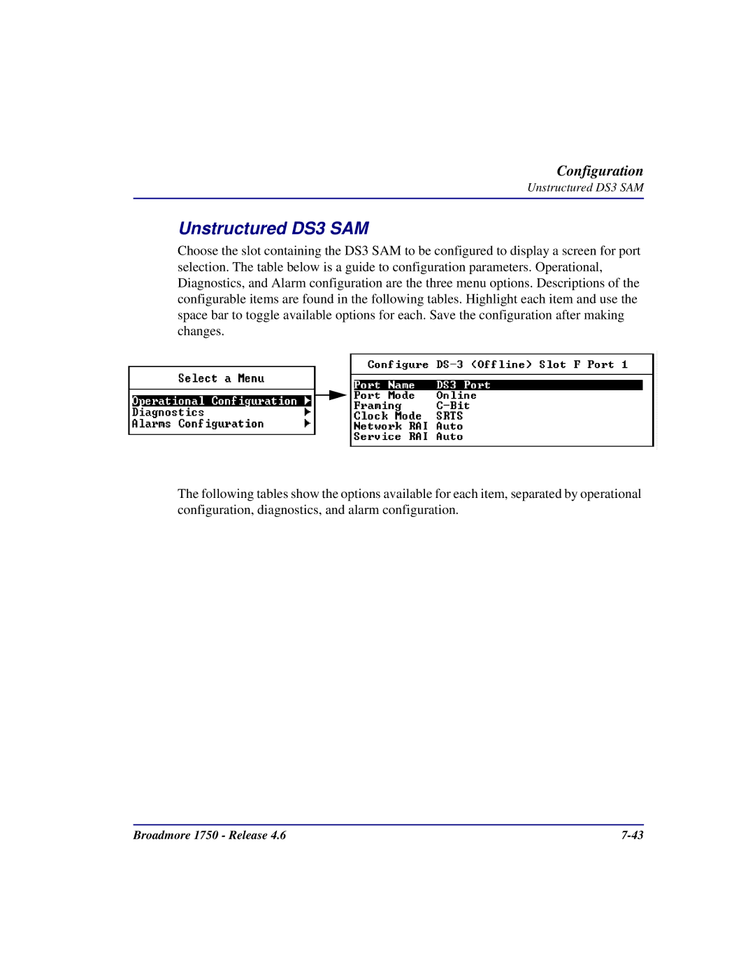 Carrier Access 1750 user manual Unstructured DS3 SAM 