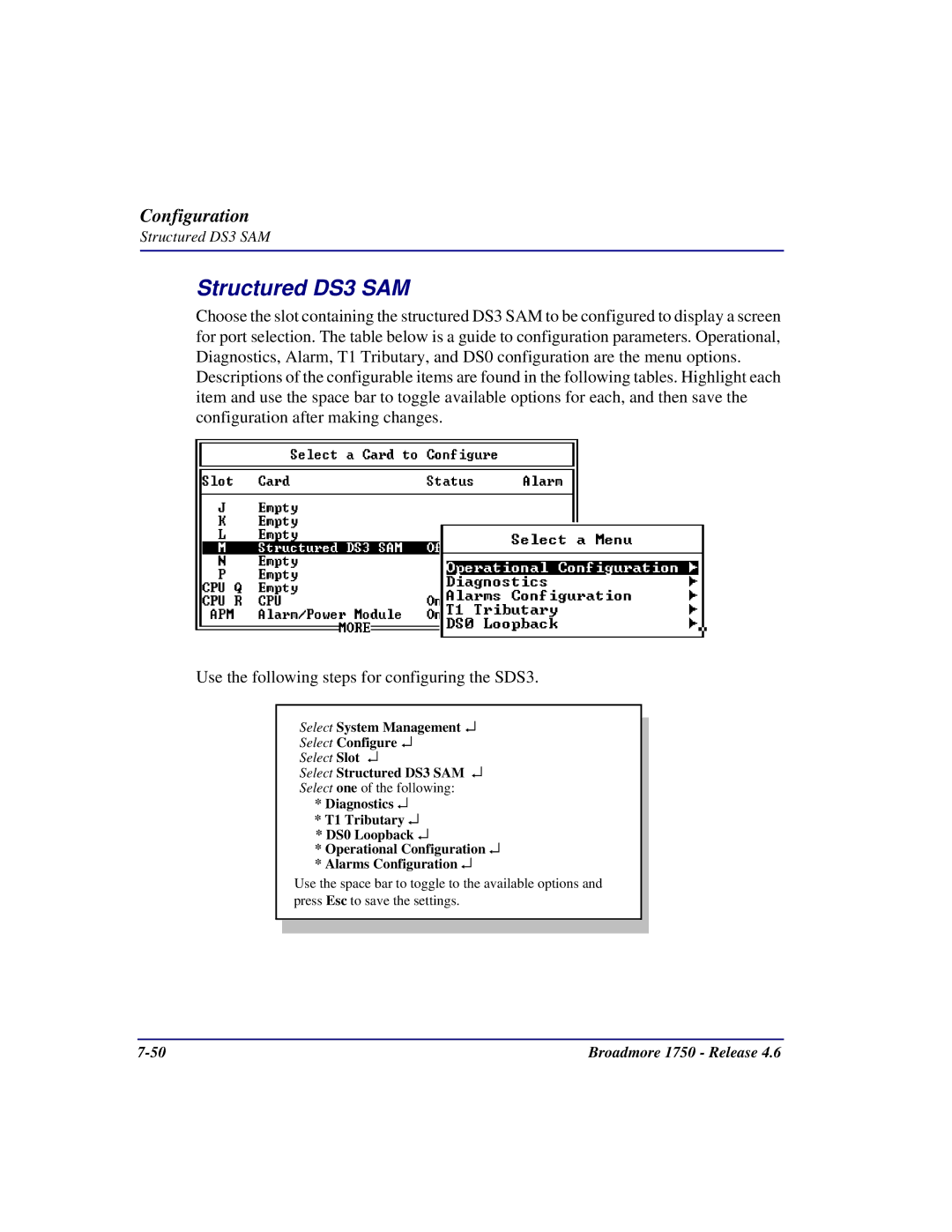 Carrier Access 1750 user manual Select Structured DS3 SAM 