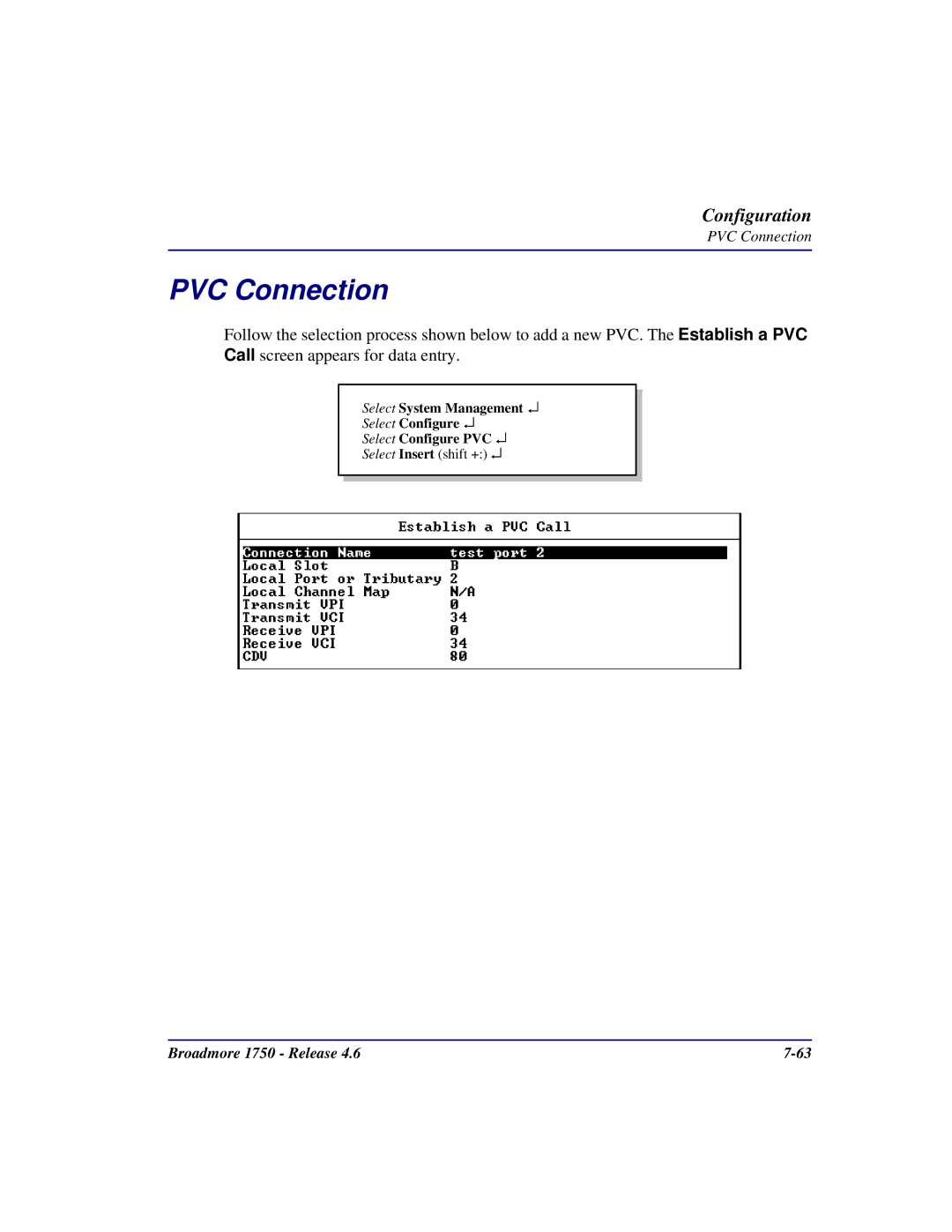 Carrier Access 1750 user manual PVC Connection 