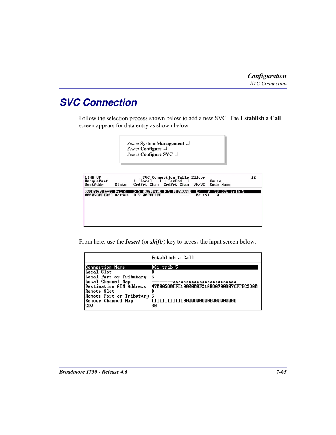 Carrier Access 1750 user manual SVC Connection 