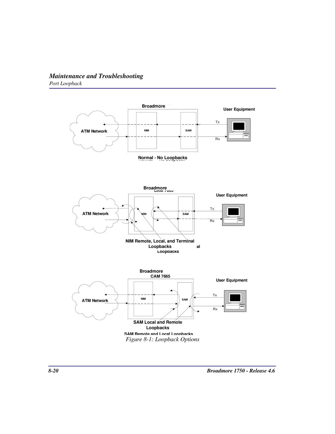 Carrier Access 1750 user manual Loopback Options 