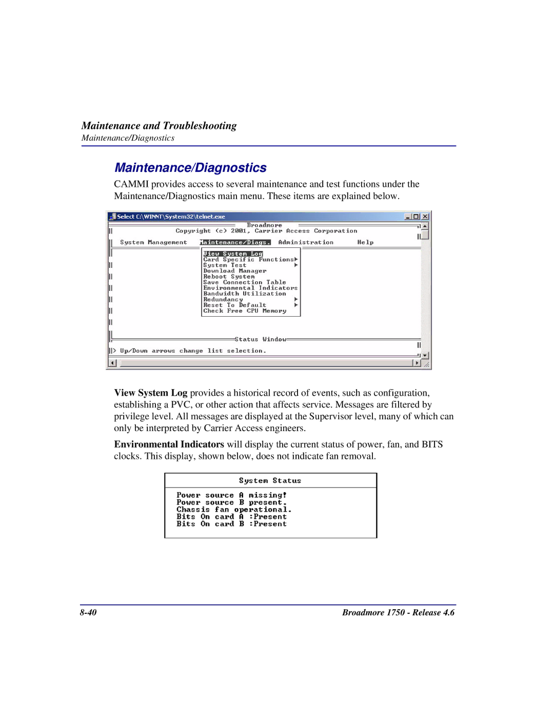 Carrier Access 1750 user manual Maintenance/Diagnostics 