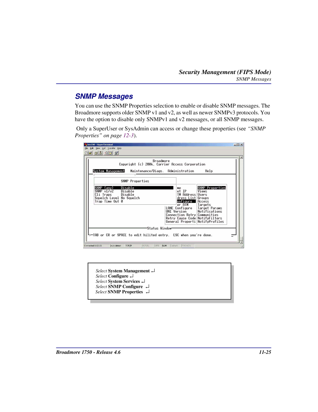 Carrier Access 1750 user manual Snmp Messages 