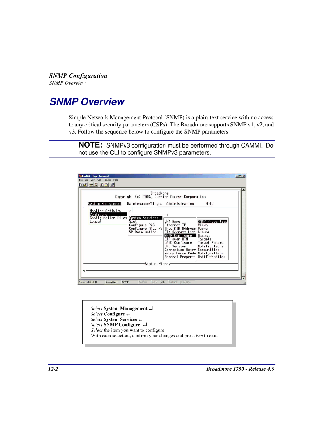 Carrier Access 1750 user manual Snmp Overview 