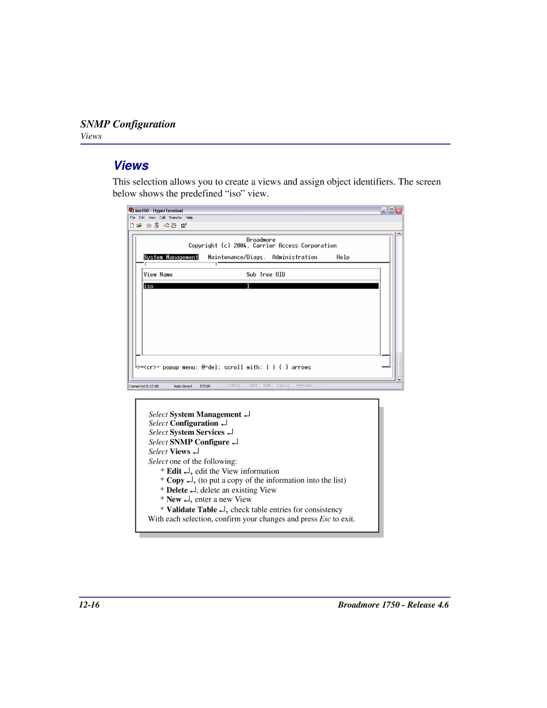 Carrier Access 1750 user manual Select Views 