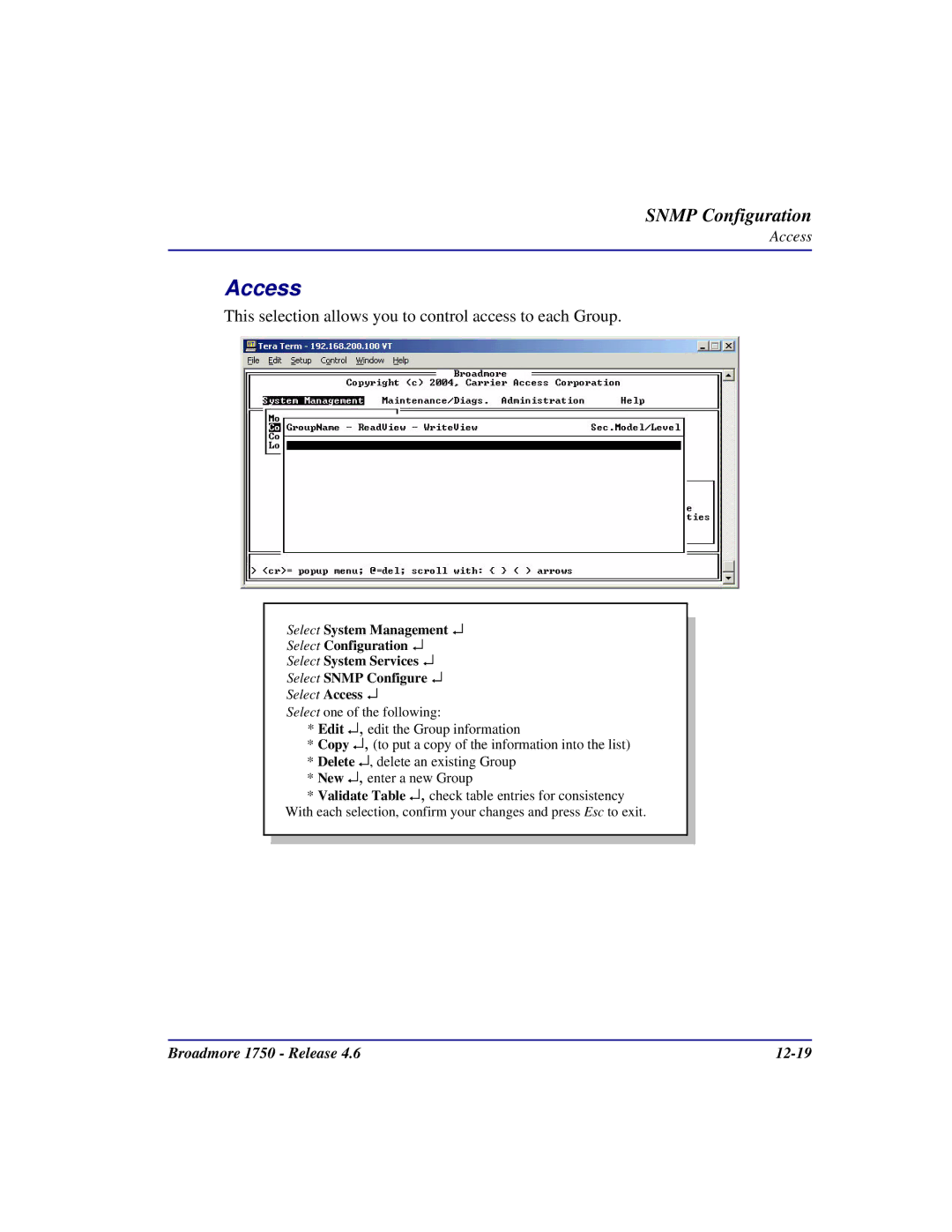 Carrier Access 1750 user manual Access, This selection allows you to control access to each Group 