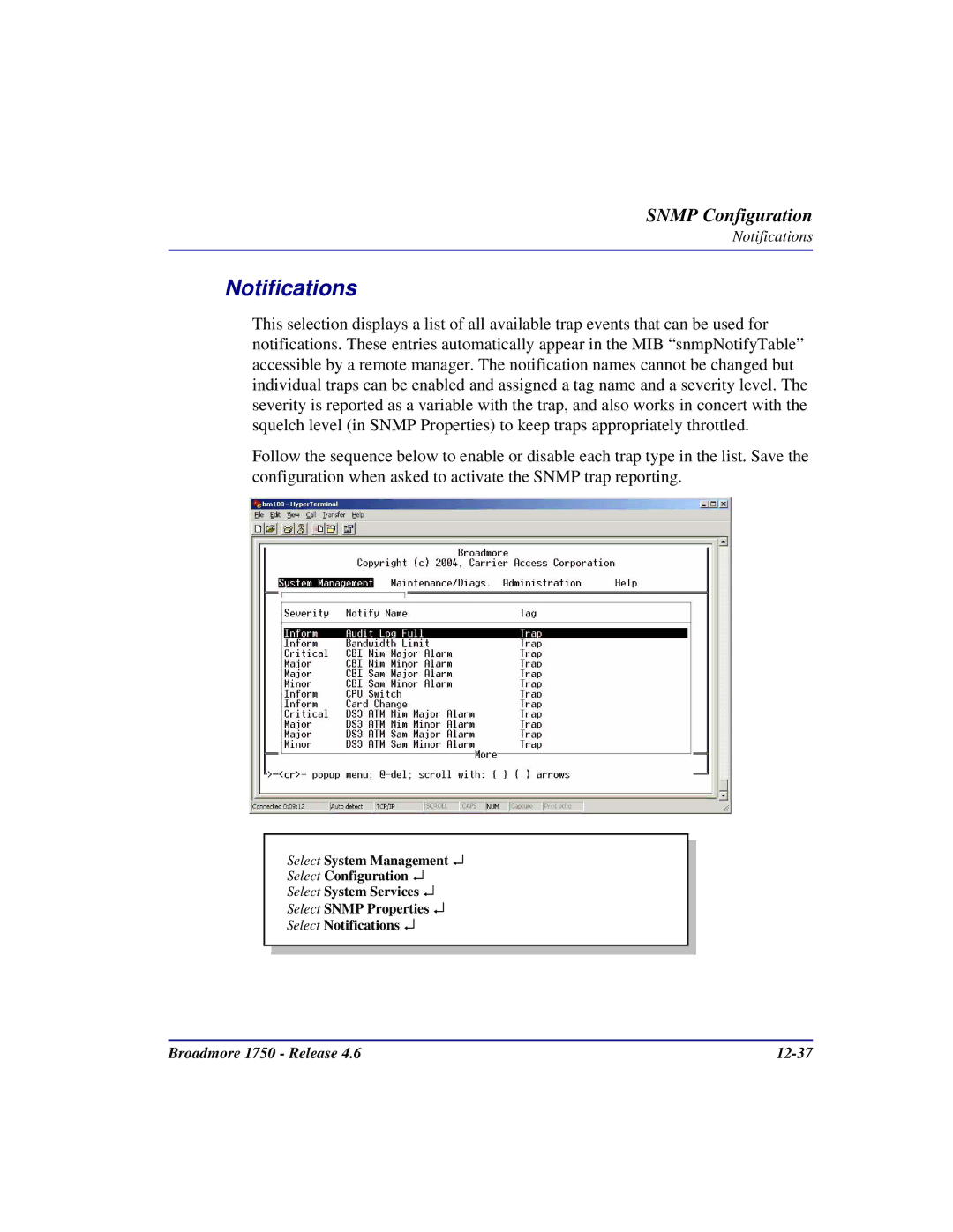 Carrier Access 1750 user manual Notifications 