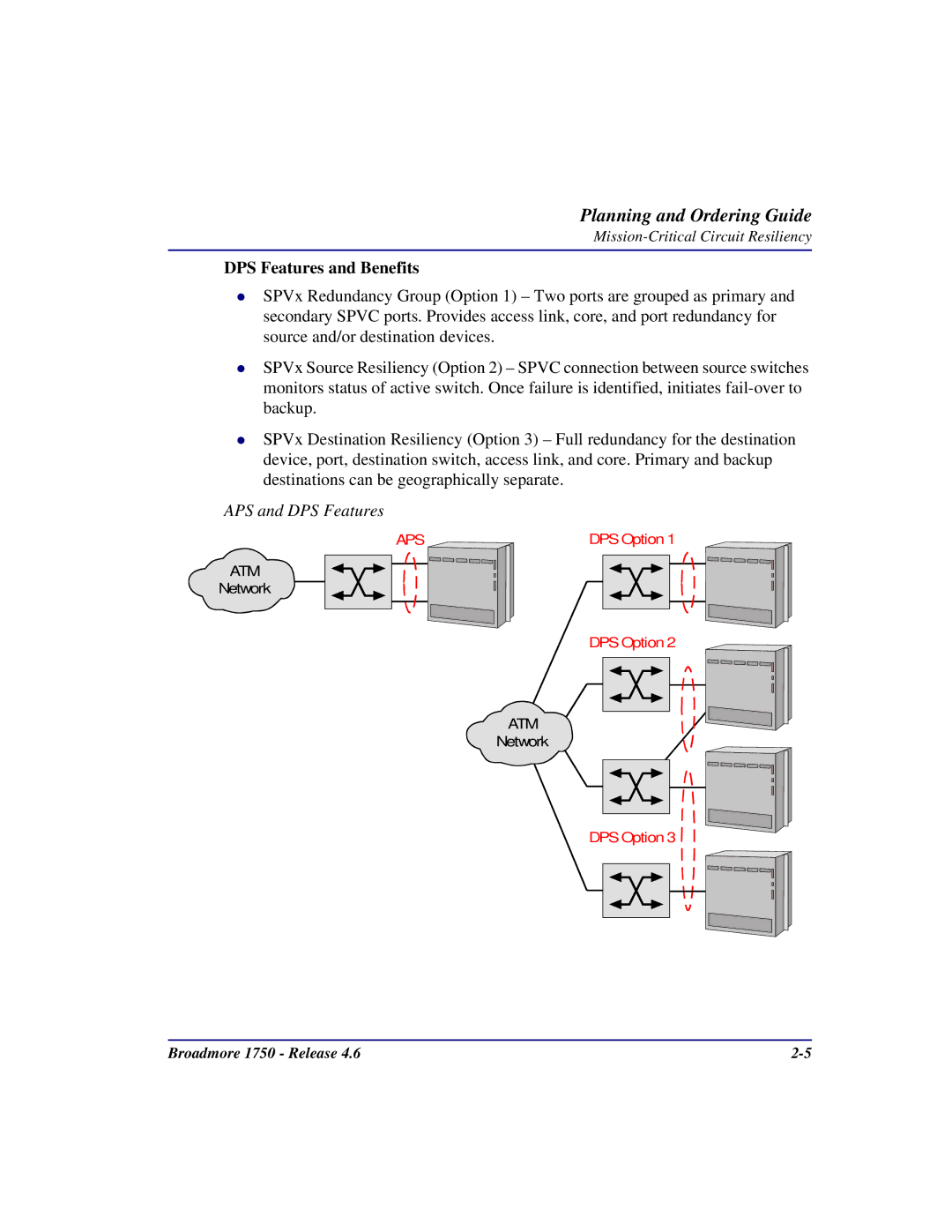 Carrier Access 1750 user manual DPS Features and Benefits 