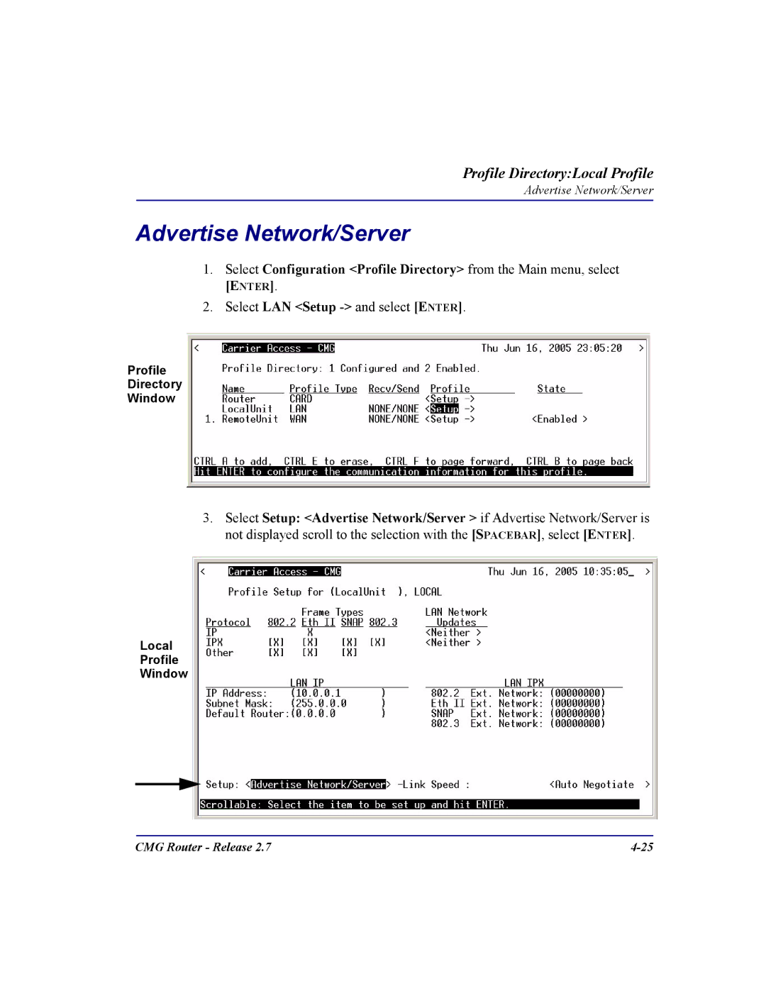 Carrier Access CMG Router user manual Advertise Network/Server 