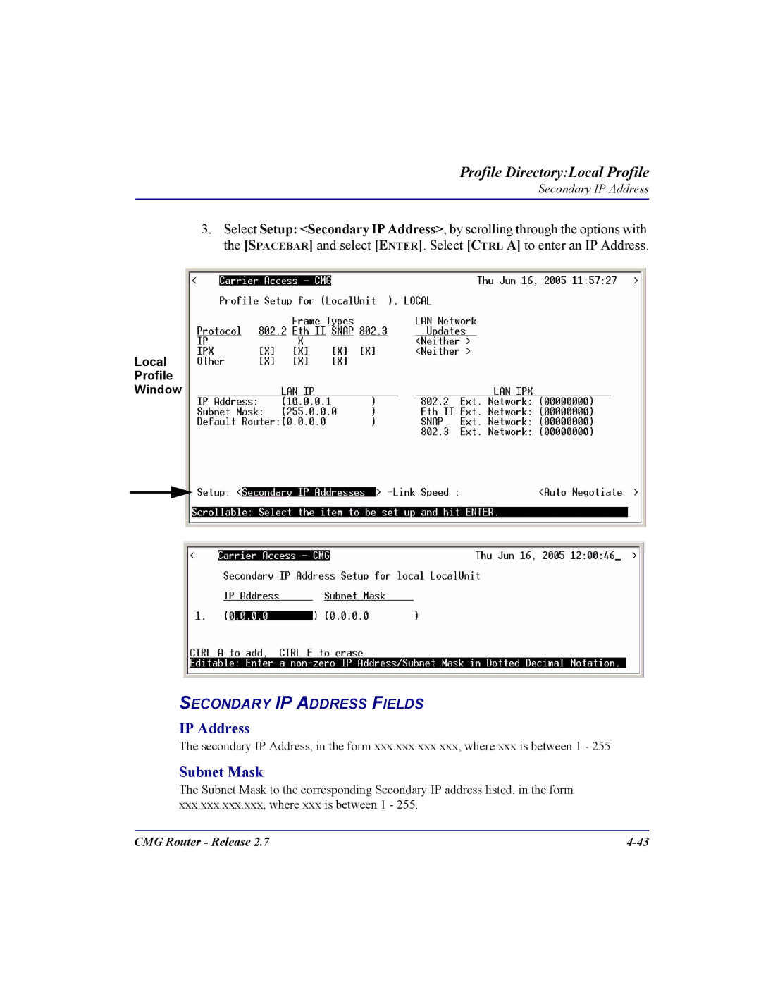 Carrier Access CMG Router user manual Secondary IP Address Fields 