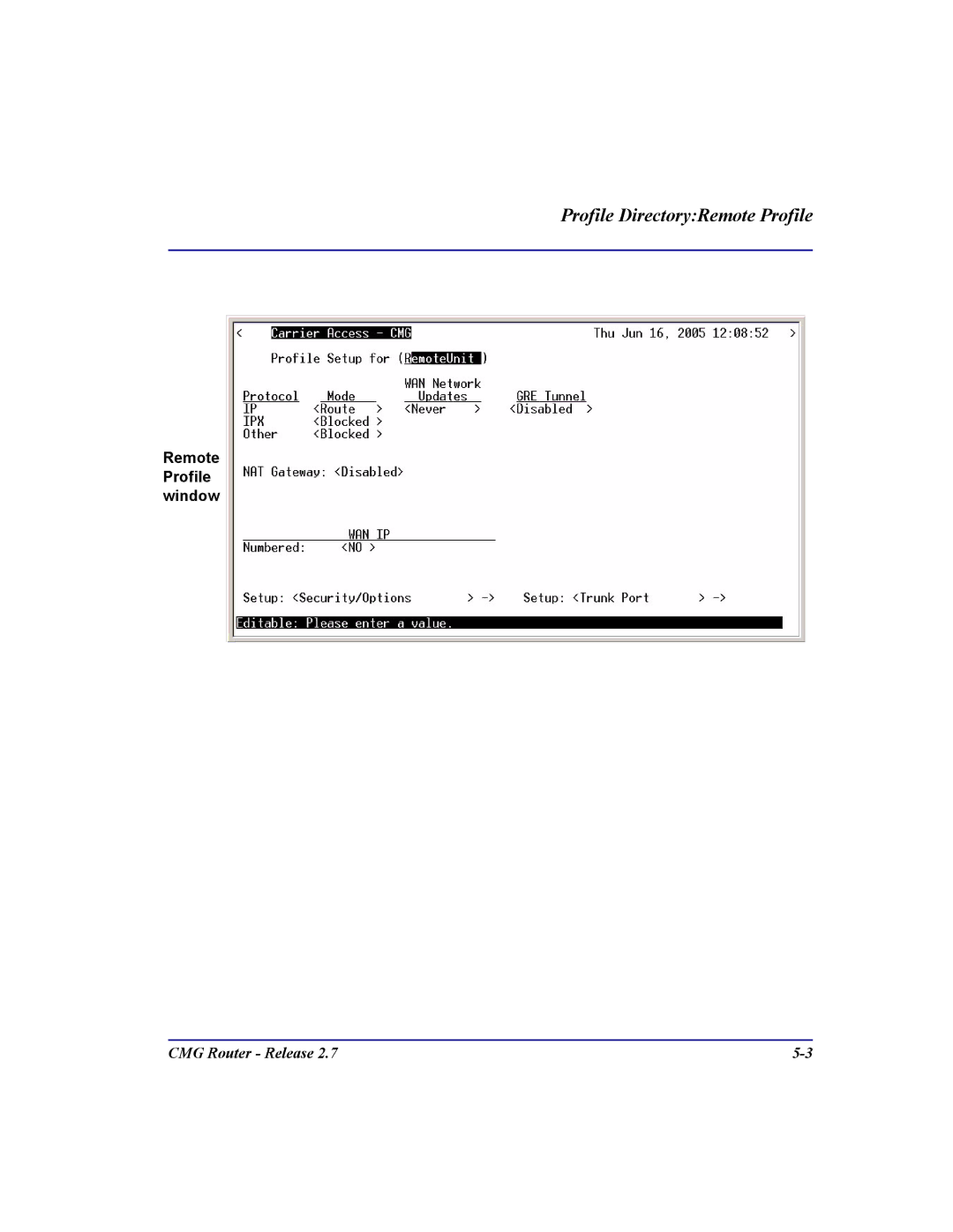 Carrier Access CMG Router user manual Remote Profile window 