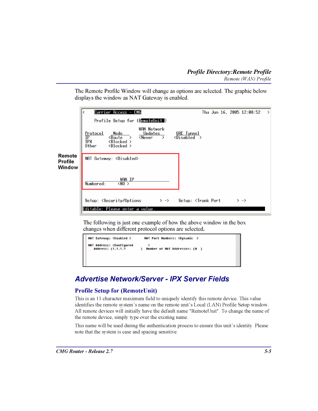 Carrier Access CMG Router user manual Advertise Network/Server IPX Server Fields, Profile Setup for RemoteUnit 