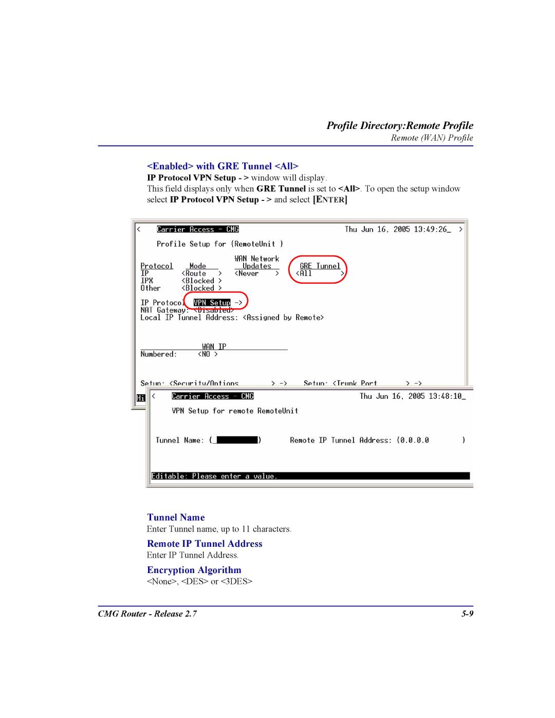 Carrier Access CMG Router Enabled with GRE Tunnel All, Tunnel Name, Remote IP Tunnel Address, Encryption Algorithm 