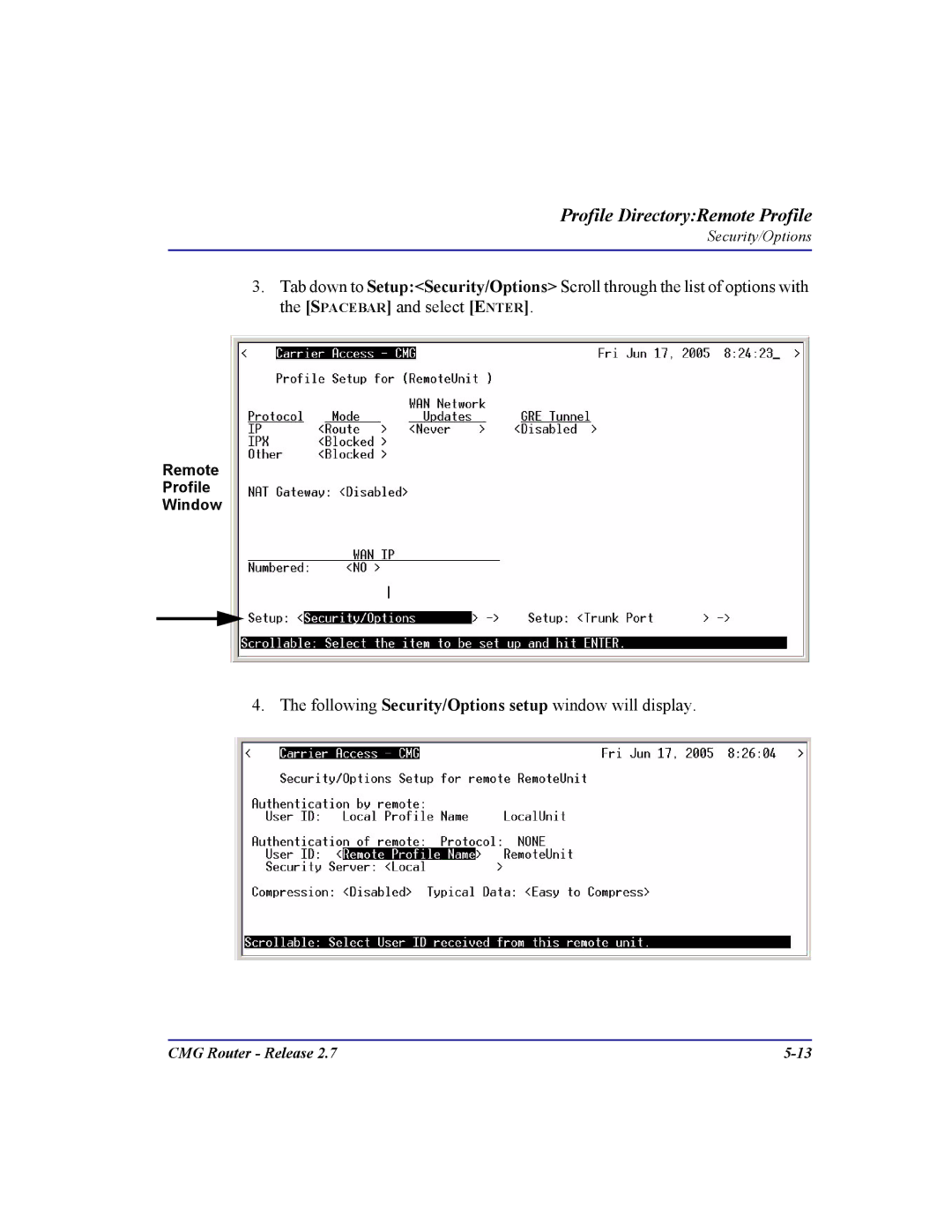 Carrier Access CMG Router user manual Following Security/Options setup window will display 