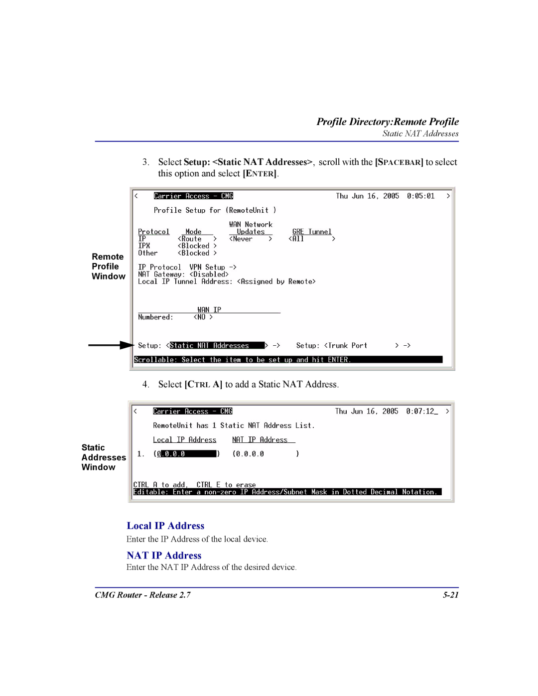 Carrier Access CMG Router user manual Local IP Address, NAT IP Address 