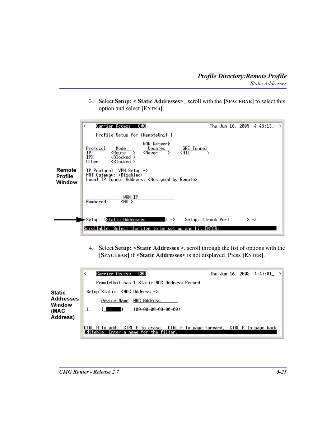 Carrier Access CMG Router user manual Static Addresses Window MAC Address 