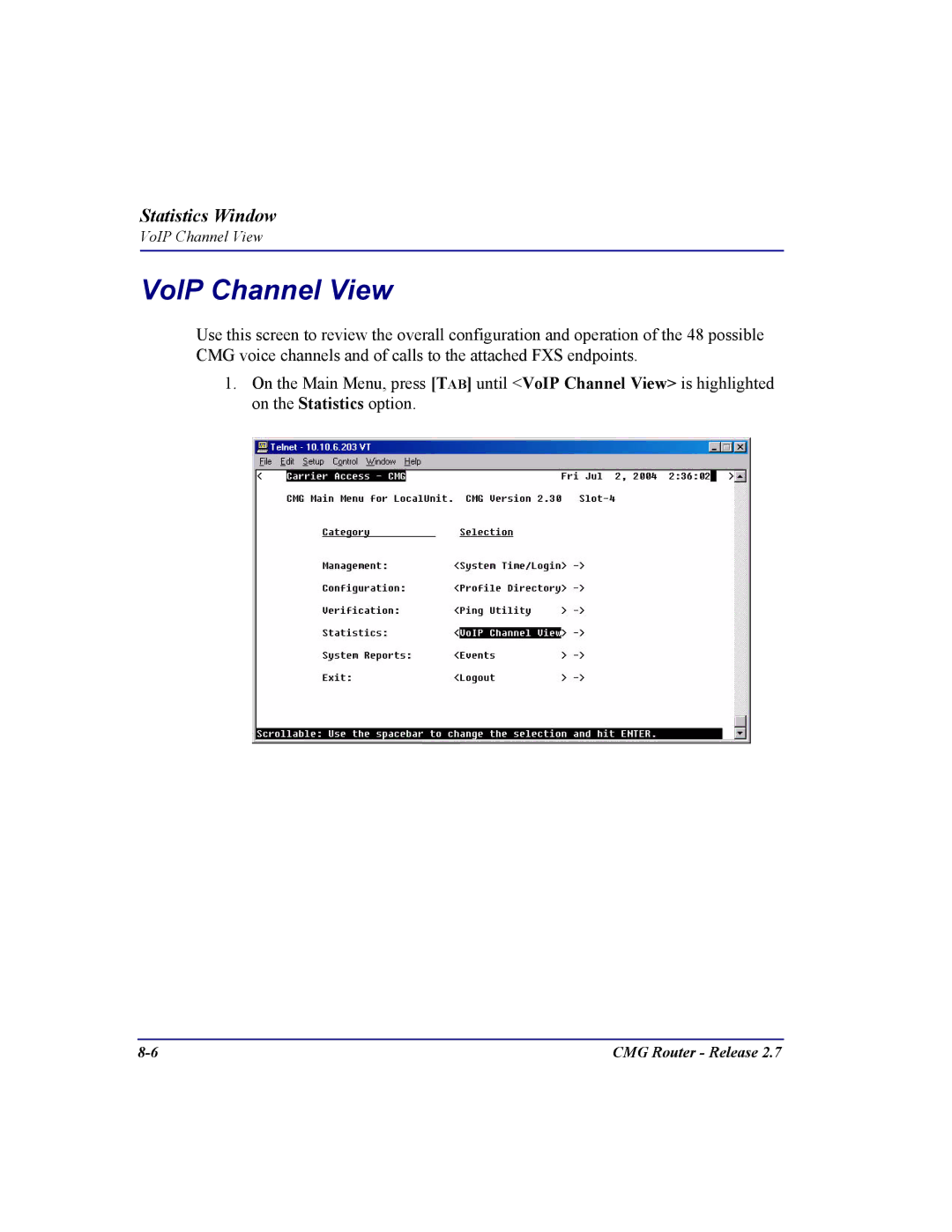 Carrier Access CMG Router user manual VoIP Channel View 