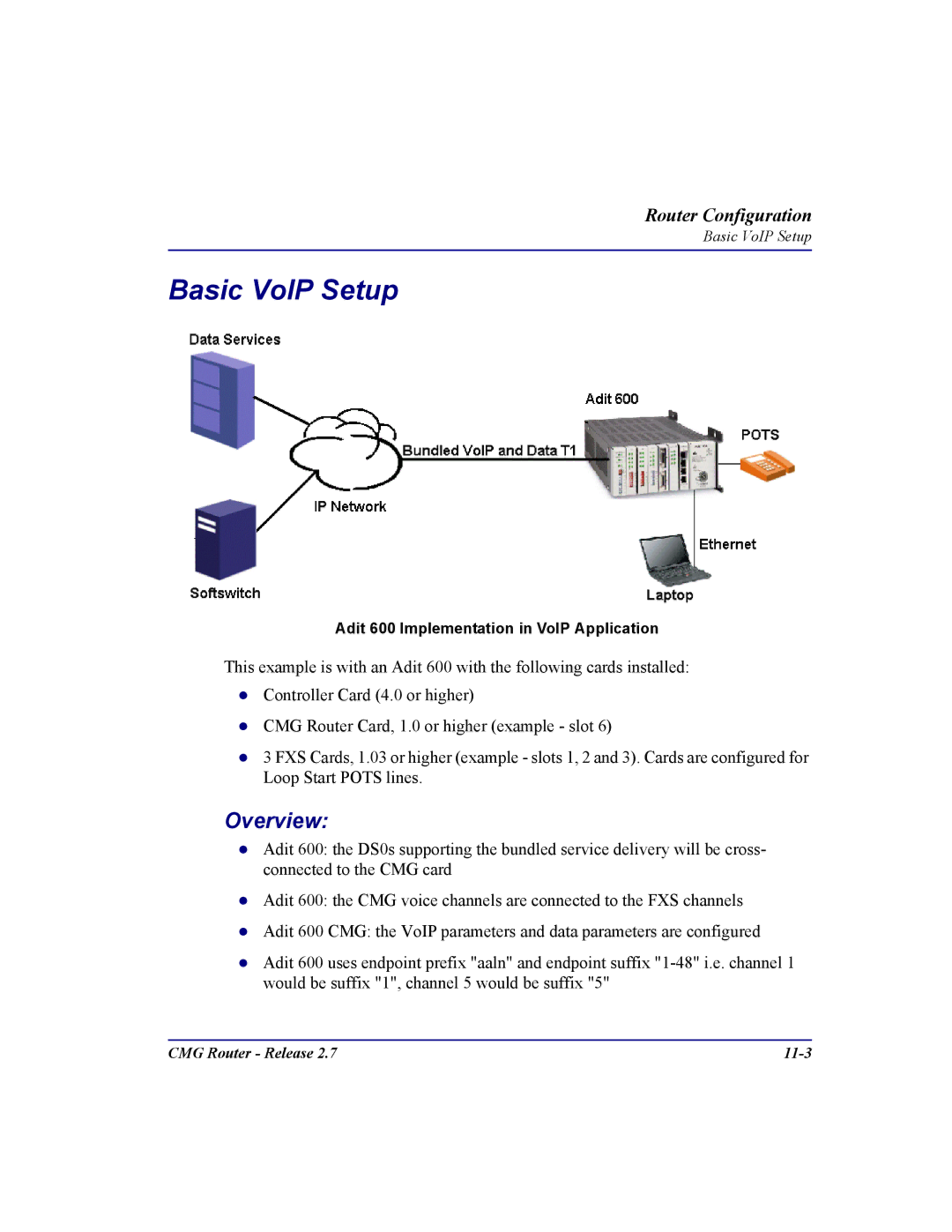 Carrier Access CMG Router user manual Basic VoIP Setup, Overview 